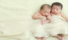 2021年11月出生的牛宝宝测算生辰八字 人生赢家成就非凡（图文）