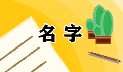 2021公司起名字时如何有创意 适合炉具公司的企业名字大全