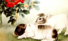 十二属相鼠猪女士在2022年整体运势解析 整体运势乐观