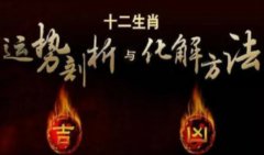 每日生肖运势播报6月24日 生肖算命详解（图文）