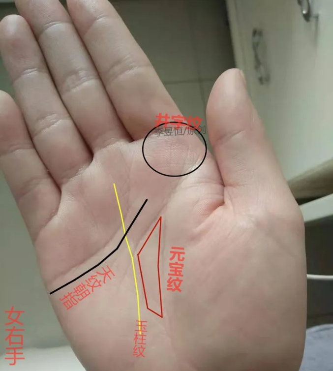 看手相算命天纹朝指工作稳人纹双重才艺广图解