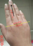 看手相算命：天纹朝指工作稳，人纹双重才艺广！（图解）