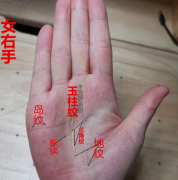 衣食无亏，事业成功率较大的3种特征！怎么看手相算命图解