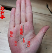 一生衣食无亏，容易做成事业的3种特征!怎么看手相算命图解