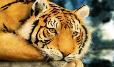 1625119970293734.jpg 202012301609306855625510.jpg