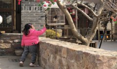 2021年十一月二十五出生的婴儿八字测算命运 五行缺什么（图文）