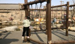 2021年12月22日农历十一月十九出生的女孩生辰八字算命大全（网上算命）