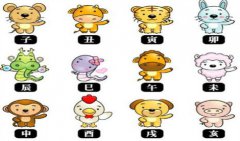 每日生肖运势播报7月8日 算命大师真人算命一条街详解