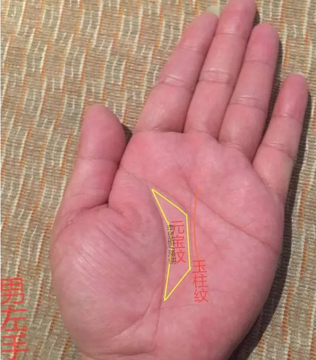 手相苦尽甘来30岁以后发家致富的特征真人预测一条街免费分析