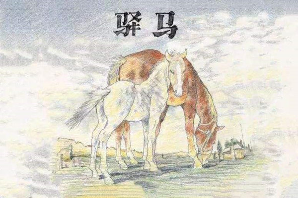 壬寅年什么人遇流年驿马根据生辰八字算命