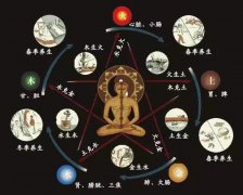 八字命理知识:五行倒底是什么?