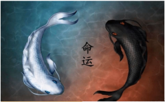 怎么去理解这句话的智慧？易经基础知识