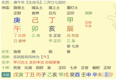 枭印夺食，凶_电脑算命生辰八字