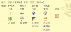 易经算命生辰八字:同一天的两个从格八字，命运居然如此相似
