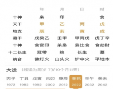 农历生辰八字算命：人生如梦，梦里辗转吉凶_算命一条街上哪家准​