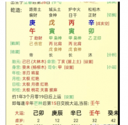 4月25日晚看八字一例_周易八字算命