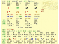 癸巳日柱的八字，是否为假从？真人在线算命一条街