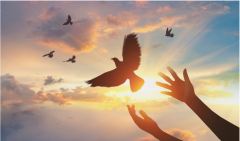 女命身弱官杀为忌_网上算命大师一条街