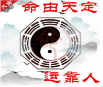 真人算命特准的网站玄学科普：补税一姐薇娅