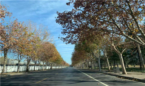 1655471945767600.jpg weixintupian_20201201225249.jpg