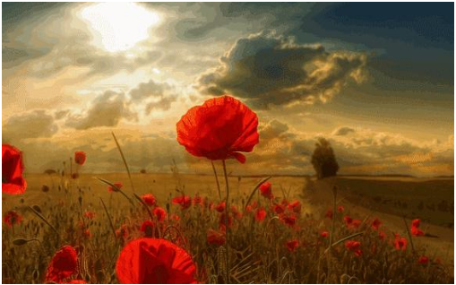 1655481217417924.png 1653147334(1).png