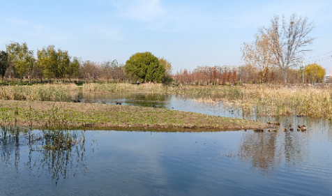 1655518572845574.png weixintupian_202101021104054.png