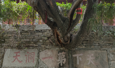 1655518806781715.png weixintupian_20210102114540.png