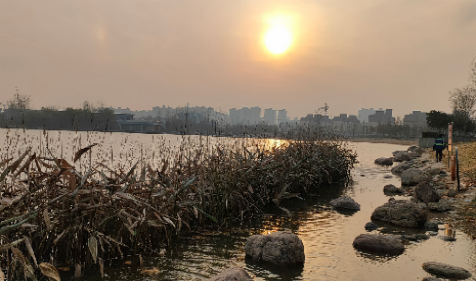 1655537340131040.png weixintupian_202101021104058.png