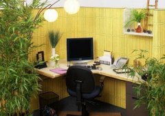 办公室常见大型绿植 周易風水预测办公室当中适合摆放的摆件