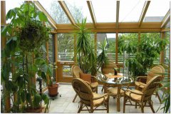 室内养什么花较好旺财 周易风水算命提升家居风水小方法