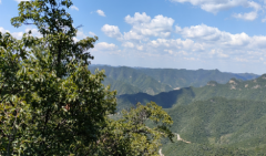 老黄历算命2022年7月26日出生的男宝宝八字命运 为人沉稳金土命局