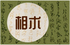 男人哪里长痣桃花运好 痣相算命鼻梁处有痣极佳的桃花运