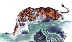 生肖算命:1998年出生的属虎人2023年健康状态好