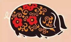 属相算命婚姻：1995年属猪的人2023年感情平稳互相理解