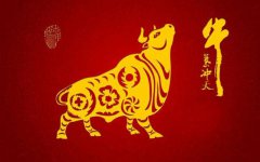 生肖算命:1985年属牛人2023年尝试公益性投资