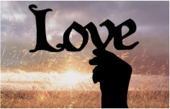 2023年日柱有婚姻的八字：八字算婚姻癸巳日柱结婚的概率大