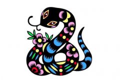 属蛇2023年生肖运势分析：投资收益多财运稳定