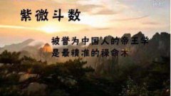 <b>紫薇斗数算命从官禄宫看事业运：官禄宫有禄存换工作</b>