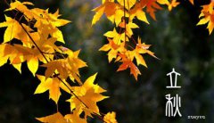 立秋节气祭祀土地神：周易与算命庆祝丰收的习俗