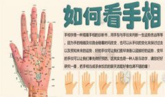 手相财帛宫有纹路：看手相算命人生的际遇变化多