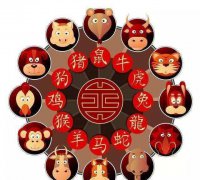 郑博士运势：8月8日12生肖运势