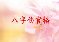 伤官格命局男命：测八字算命伤官格命局女是什么意思