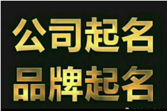 <b>网络自媒体公司名字：网络传媒公司取名字大全</b>