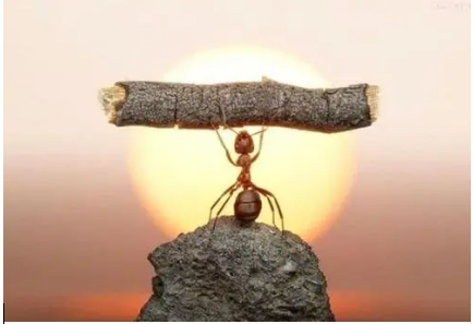 1660112133866229.png 1660059416(1).png