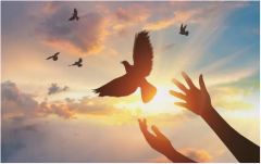 2023年什么八字比较好？周易八字算命财运好！事业稳定！