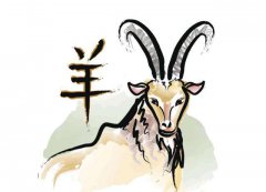 <b>2022年属羊较忌讳的颜色:易经看风水白色减少运气</b>