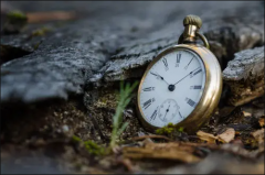 <b>孩子什么时辰出生较好？网上算八字富贵加身才华横溢</b>