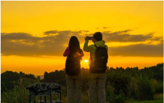 属猴男和属鸡女相配吗？天生一对白头偕老【生肖配对算命】