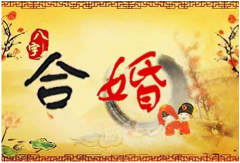 <b>2002年属马的女孩婚配：生肖配对算命</b>