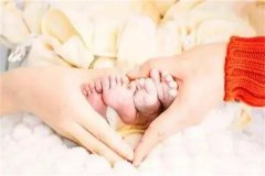 属羊2023年兔年宜添丁吗？出生年月算命福星宝宝来报到